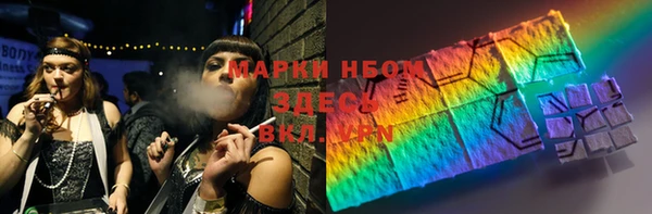 индика Переславль-Залесский