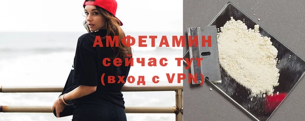 твердый Осинники