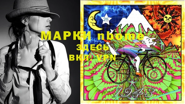 индика Переславль-Залесский