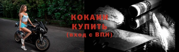 твердый Осинники