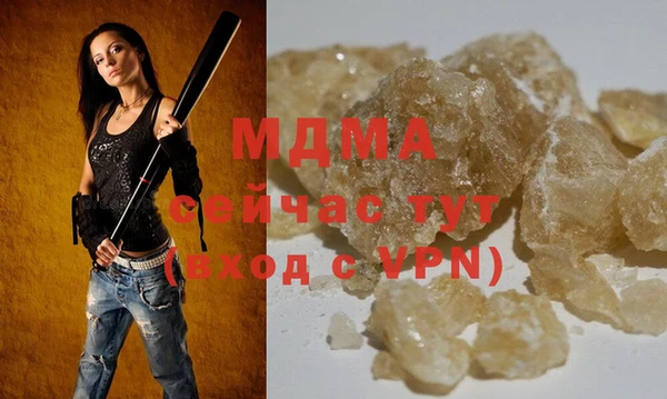 индика Переславль-Залесский